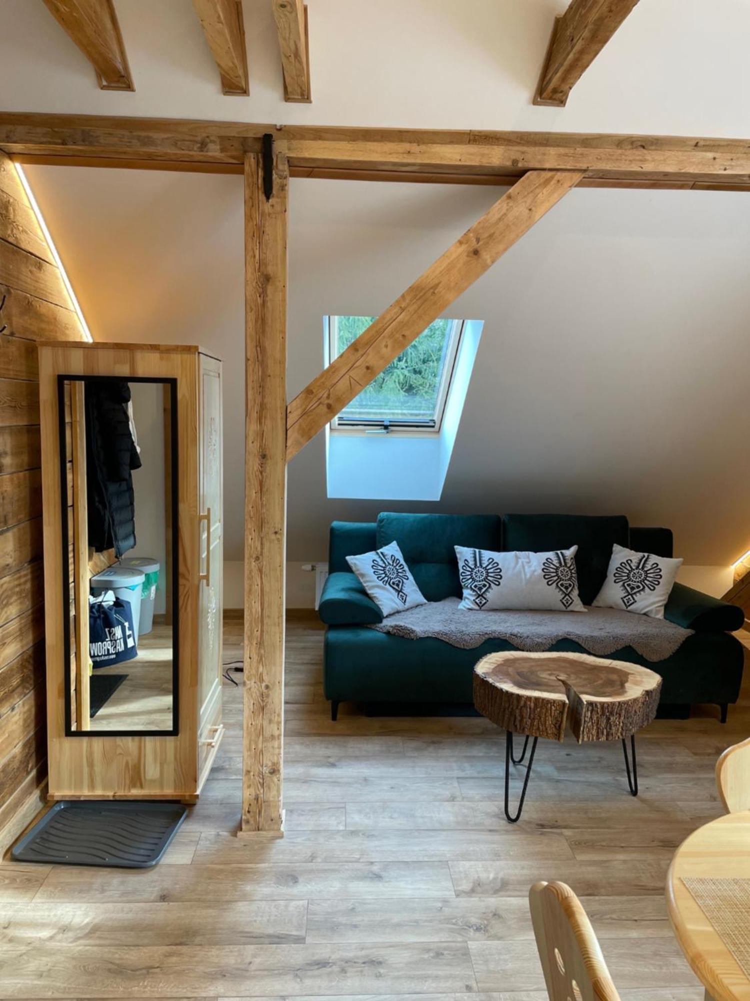 Apartamenty Krysin 扎科帕内 外观 照片